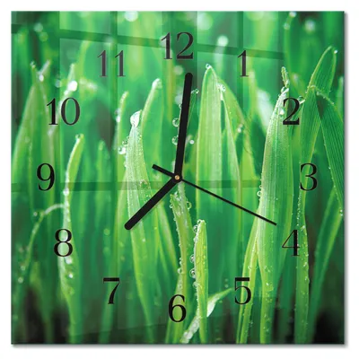 Produktbild von Tulup Glasuhr Wanduhr Küchenuhr Echt-Glas 30x30 cm Modern Dekorativ Geräuschlos Schwarzen Zeigern - Grünes Gras