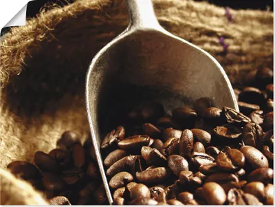 Produktbild von ARTland Poster Kaffee Größe: 80x60 cm