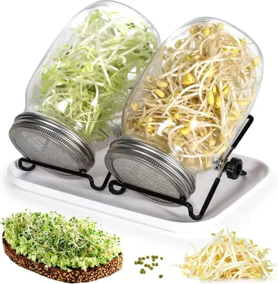 Produktbild von Sprossenglas Keimglas 2er Set, 2 x 1000ml Sprossenglas mit 2 Edelstahl Deckel, 2 Einstellbare Halterung und 1 Tablett, Keimgerät Ideal für Alfalfa Brokkoli Radieschen Mungobohnen