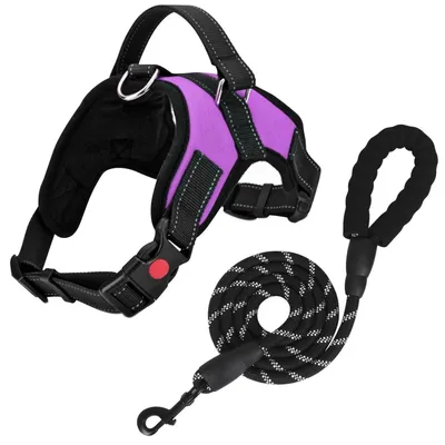 Obrázek produktu pro Postroj pro psy, proti tahání, nastavitelný, prodyšný, s vodítkem, s reflexními pruhy, fialový