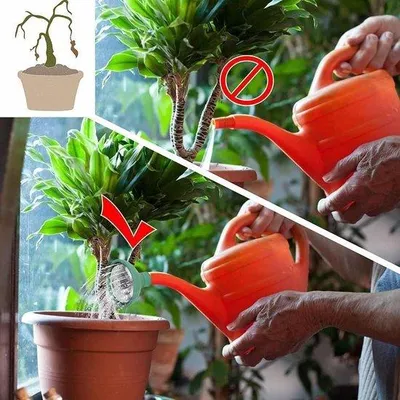 Immagine prodotto di Testa di spruzzo universale per tutti gli irrigatori da giardino - Testa di spruzzo in plastica e metallo - 1 pezzo