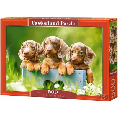Zdjęcie produktu dla Castorland Puzzle 500 Elementów - Urocze Jamniki: Relaksująca Układanka Dla Dorosłych