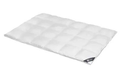 Produktbild von Daunendecke 200x220 cm 100 % Daunen Extra warme  Bettdecke Steppdecke Daunen SPESSARTTRAUM SILBER