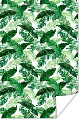 Produktbild von MuchoWow® Poster Blumen - Grün - Blätter 60x90 cm - Wanddekoration