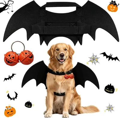Image de Costume de chien pour Halloween, taille XL, avec ailes de chauve-souris et cloche en forme de citrouille, pour chiens de grande taille