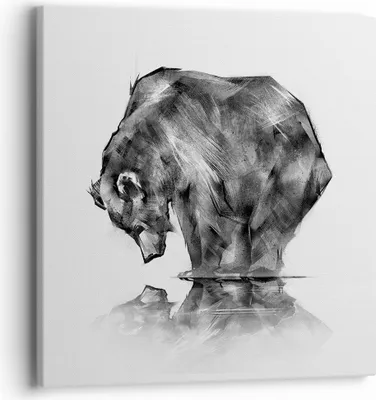 Produktbild von Bild auf Leinwand - Leinwandbild - Bär Tier - 40x40cm - Wand Bild - Wanddeko - Wandbilder - Leinwanddruck - Bilder - Kunstdruck - Wanddekoration - Leinwand bilder - Wandkunst - AC40x40-3921