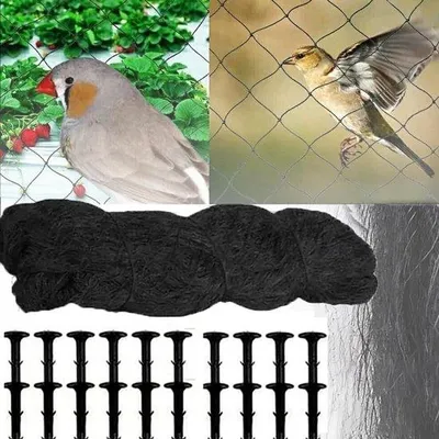 Image de Filet anti-oiseaux - Résistant aux UV et réutilisable - 30 x 5 m