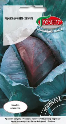 Produktbild von Samen Rotkopfkohl Langedijker Dauer 2 1g - Torseed