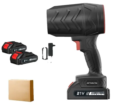 Image de Souffleur de feuilles, haute puissance, sans fil et portable, noir, avec 2 batteries