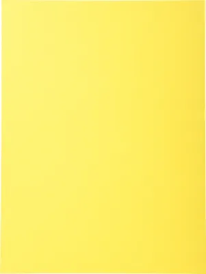 Image de Exacompta 5x 100 chemises Forever® 170 100% recyclé 24x32cm Jaune 420005E