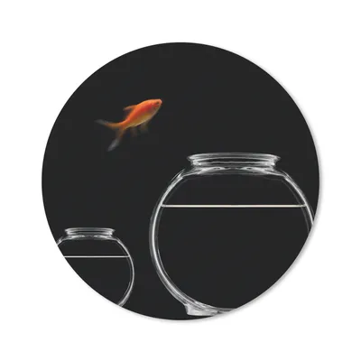 Produktbild von MuchoWow® Mauspad Mousepad Goldfisch - Fischglas - Schwarz 50x50 cm - Mousepads - Maus Mat - Pad - Mausunterlage - Vinyl