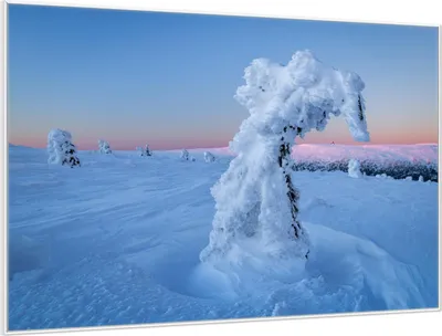 Produktbild von Wallario Wandbild Schneeskulptur, Größe: 61 x 91,50 cm, Poster mit weißem Aluminiumrahmen