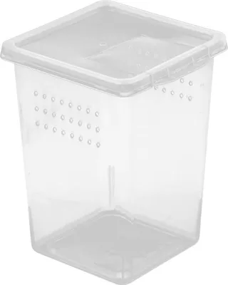 Image de Terrario Boîte à insectes haute - terrarium en plastique 9x9x11cm Terrario