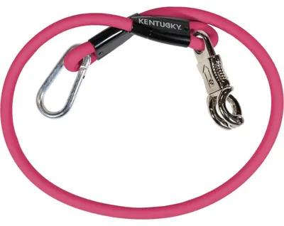 Produktbild von Kentucky Krawattenführer Rosa 140 cm Rosa 140 cm