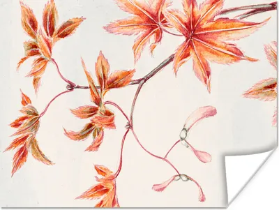 Produktbild von MuchoWow® Poster Vintage - Japanischer Ahorn - Blätter 120x90 cm - Wandbild