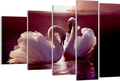 Produktbild von Bild auf Leinwand - Leinwandbild - Schwäne Landschaft Wasser - 150x100cm - Wand Bild - Wanddeko - Leinwanddruck - Bilder - Kunstdruck - Wanddekoration - Leinwand bilder - Wandkunst - EG150x100-0223