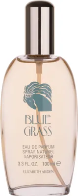 Produktbild von Elizabeth Arden Blaues Gras Woda parfümowana 100ml