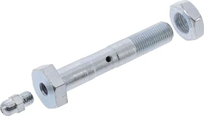 Produktbild von Set Lagerschraube mit SKM M10x1 - zum Fahrersattel - pass. für AWO 425T
