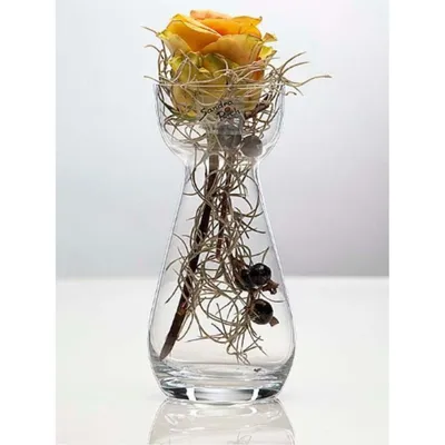 Produktbild von Glasvase HYACINTH H. 17cm D. 7cm transparent rund Glas Sandra Rich