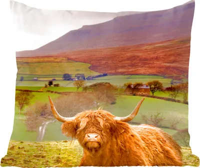 Produktbild von MuchoWow® Zierkissen Sofakissen Wohnzimmer Dekokissen 60x60 cm Schottisches Hochlandrind - Berg - Herbst - Sitzfläche - Foto Polster