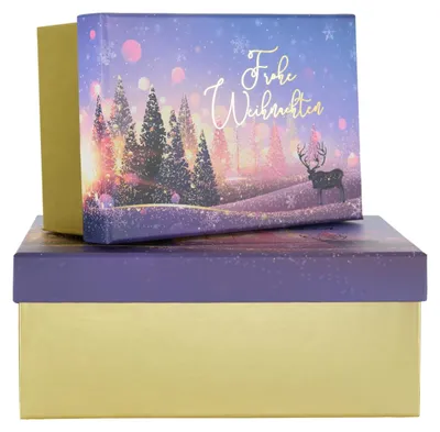 Immagine prodotto di 2 scatole regalo Natale viola confezione regalo