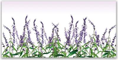 Produktbild von Tulup Leinwand-Bilder 120x60 Wandbild Canvas Kunstdruck Blumen Pflanzen