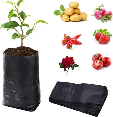 Zdjęcie produktu dla Worki do uprawy roślin 12 x 30 cm, 100 sztuk, PE, do sadzonek