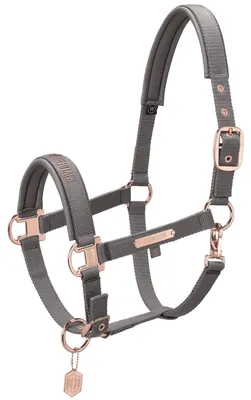 Produktbild von Eskadron Heritage 23/24 Pin Buckle Halfter