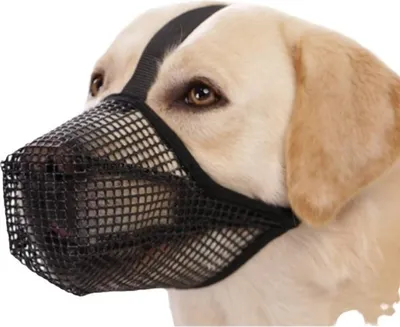 Image de INF Muselière Réglable en Nylon pour Chien: Anti-morsure, Léchage, Respirante L