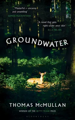 Produktbild von Groundwater