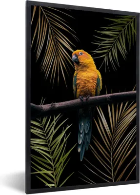 Produktbild von MuchoWow® MuchoWow® Gerahmtes Poster Farn - Papagei - Pflanzen 40x60 cm - Poster mit zchwarzem Bilderrahmen - Papierdruck - Wandbilder