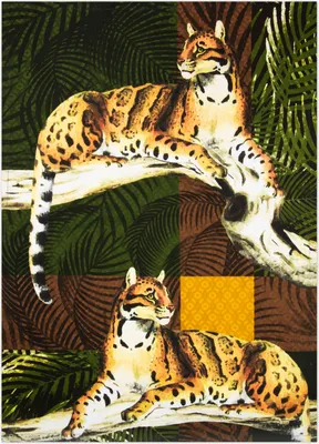 Immagine prodotto di Strofinaccio Excelsa in cotone leopardato 50x70 cm colorato