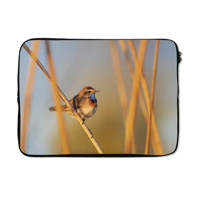 Produktbild von MuchoWow® Laptop Hülle 13 Zoll Vögel - Blaukehlchen - Schilf Laptoptasche - Laptophülle - Sleeve - Rundumschutz