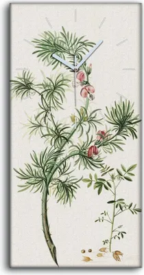 Produktbild von Wanduhr Uhr Wandbild Leinwand 30x60 Malerei Blumen Zweig Pflanze Kunst - weiße Hände