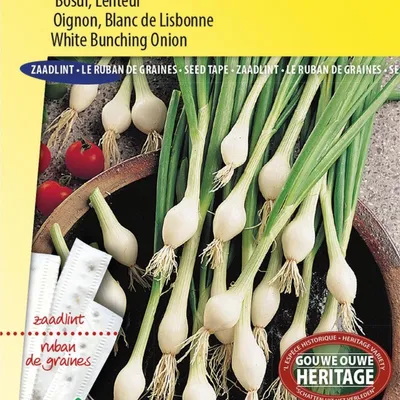 Image de Oignons blancs de Lisbonne. Graines d'oignons nouveaux pour des oignons croquants et juteux – haute qualité pour le potager – riches en vitamines et polyvalents.