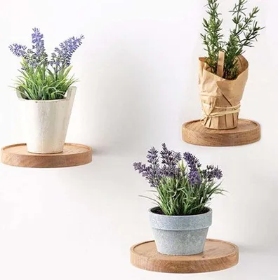 Produktbild von 3 runde Wandregale, Durchmesser 15 cm – schwebende Regale – Pflanzenregal aus Holz – dekoratives Regal – für Blumentöpfe oder Vasen.
