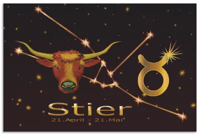 Produktbild von ARTland Wandbild Alu für Innen & Outdoor Sternzeichen - Stier Größe: 30x20 cm