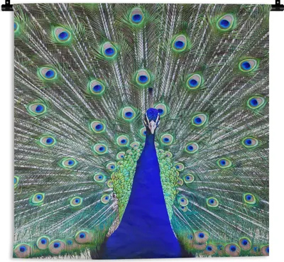 Produktbild von MuchoWow® Wandteppich Wandbehang Pfau - Flügel - Schwanz 60x60 cm Tapisserie Dekoration Wandtuch - Dekorationen - Wand Decke