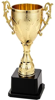 Produktbild von Trophäe, Pokal – Goldfarbener Kunststoffpokal, 20 cm