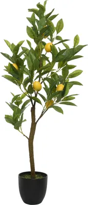 Produktbild von Decoris Kunstpflanze Zitrone 35x25x92cm