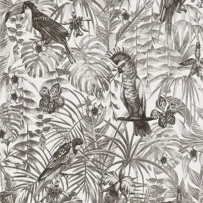 Produktbild von A.S. Création Dschungeltapete Greenery Vogeltapete Vliestapete schwarz weiß grau 10,05 m x 0,53 m