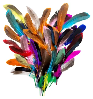 Produktbild von 50 Stück Bunte Federn zum Basteln, Federdekoration für DIY-Ohrringe, Hochzeiten, Traumfänger, Kopfschmuck und Schulhandwerk