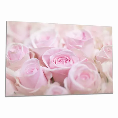 Produktbild von Wallario Herdabdeckplatte aus Glas, Größe 80 x 52 cm 1-teilig, Motiv Rosafarbene Rosenblüten im Strauß