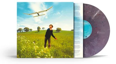 Vinyl LP – Who We Used To Be – Doppelalbum