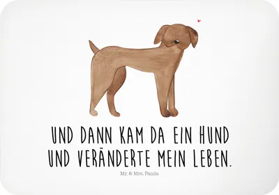 Produktbild von Mr. & Mrs. Panda magnet Hund Dogge - Weiß - Geschenk, Hunde, whiteboardmagnet, holzmagnet, Kühlschrankmagnet, Notizhalter, Pinnwandmagnet, Herz, Sprüche