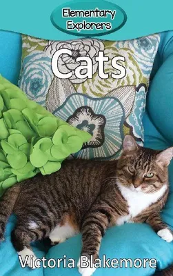 Produktbild von Cats