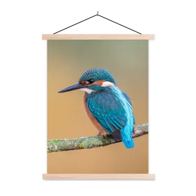 Produktbild von MuchoWow® Textilposter Vogel - Eisvogel - Tiere - Zweig 40x53 cm mit holzfarbenen Rahmen - Schlafzimmer