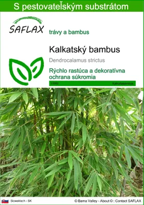 Obrázok produktu pre SAFLAX - kalkatský bambus - Dendrocalamus strictus - 50 Semená - S pestovateľským substrátom bez klíčkov