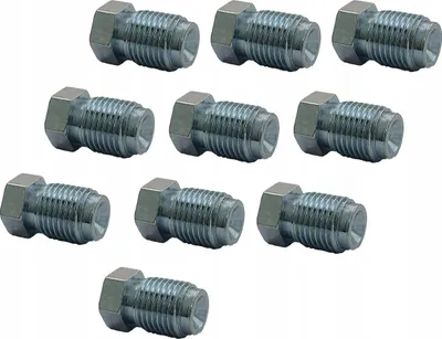 Obrázek produktu pro 10x zátky brzdového vedení, vnější závit M10x1 (KPS-55)