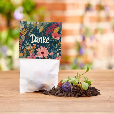Image de Petites bombes de graines en sachet « Merci » – 10 sachets contenant chacun 5 bombes de graines colorées – petit cadeau durable pour les anniversaires d'enfants et comme cadeau d'adieu à la crèche